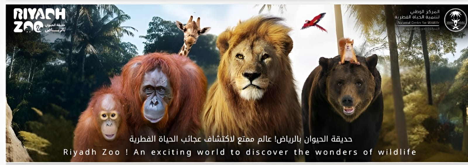Advertisement
